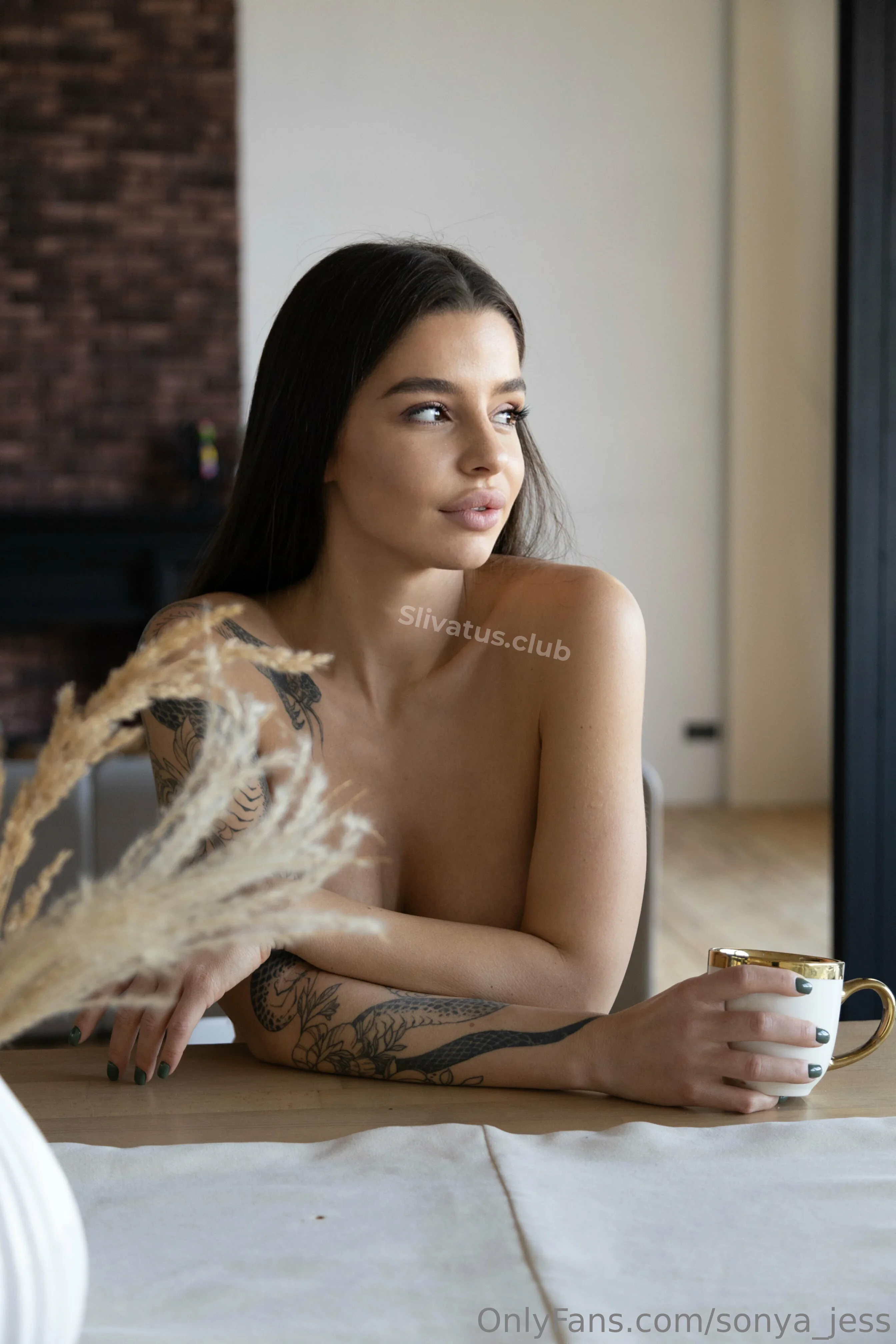 Утечка Слив голой модели Sonya Jess